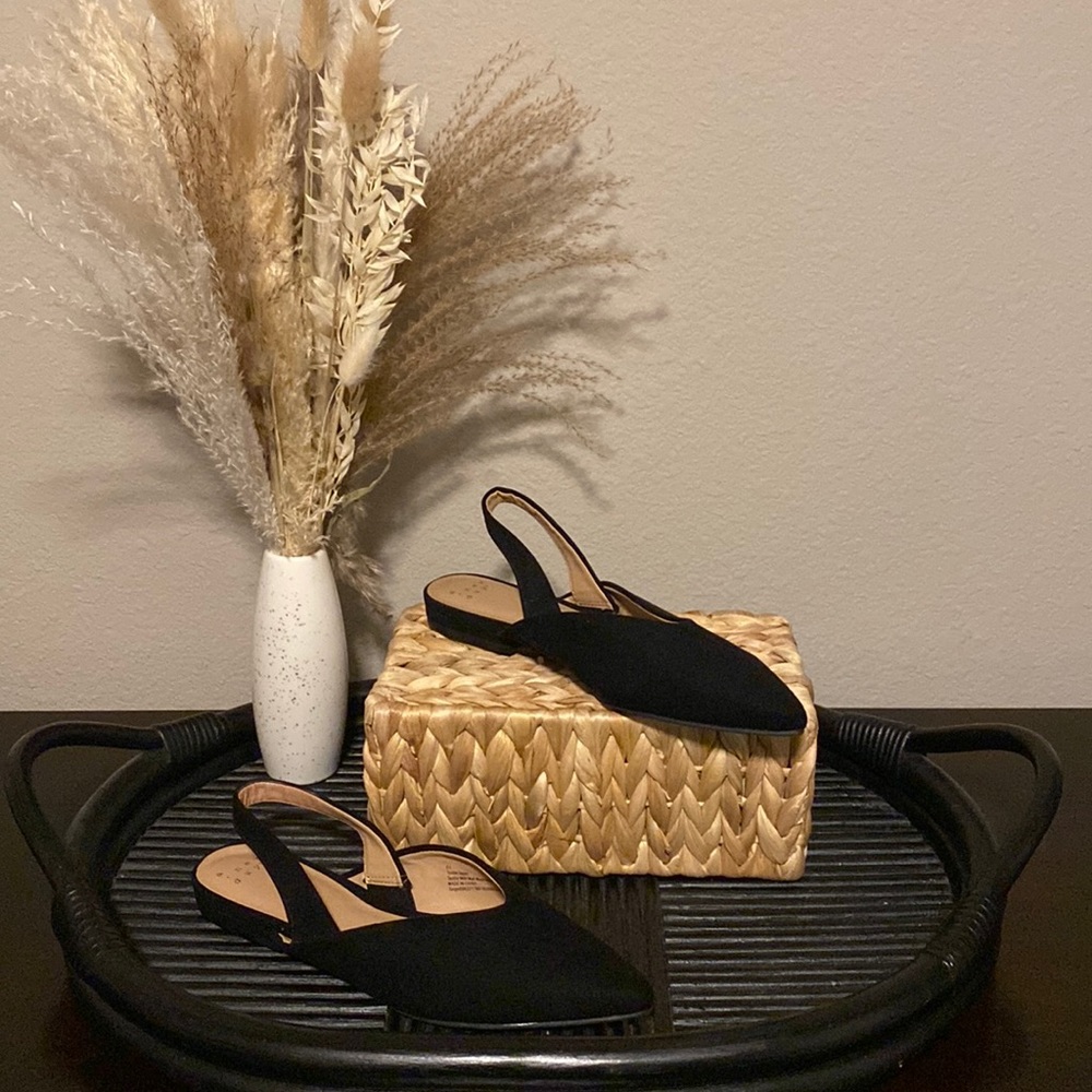 POINTED TOW BLACK FLATS